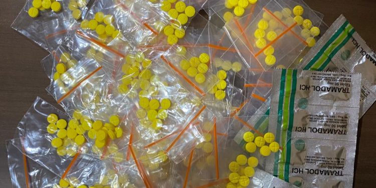 EL (23) Pengedar Pil Koplo Disergap Tim Satres Narkoba Saat Asyik Nonton TV Dirumahnya