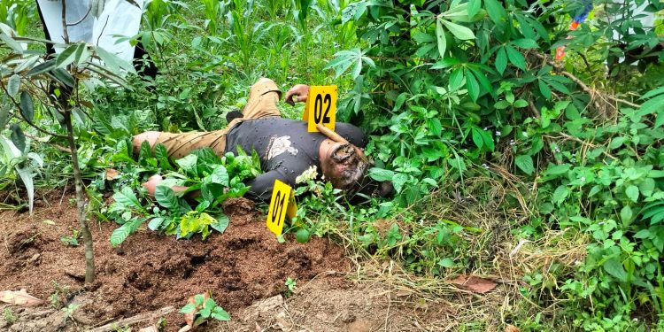 Penemuan Mayat Seorang Lelaki Di Perkebunan Jagung Di Desa Tambiluk Petir
