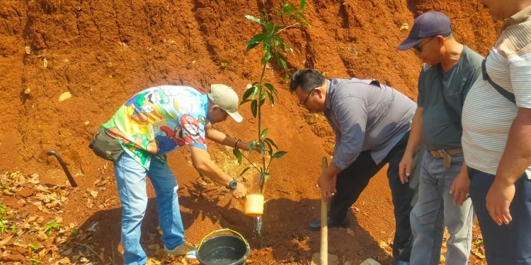 DPD Pemerhati Jurnalis Siber (PJS) Provinsi Banten, Adakan Program Penanaman Pohon Dilingkungan Cikuasa Kelurahan Gerem