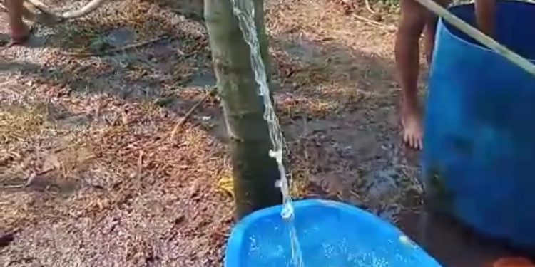 Kegiatan Program Bantuan Sumur Pantek DISTANAK Banten 2023, Cukup Memuaskan.