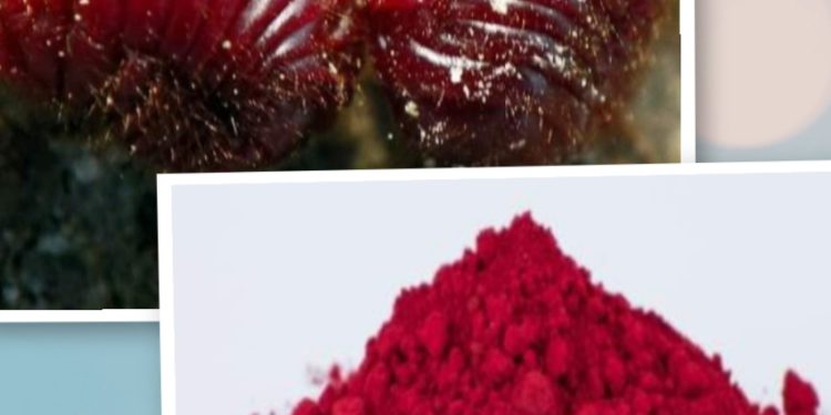 LBMNU Putuskan Haram Konsumsi Karmin