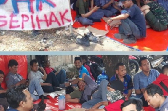 Sepekan Lebih 18 Orang Karyawan PT.GBK Gelar Aksi Unjuk Rasa Akibat PHK Sepihak