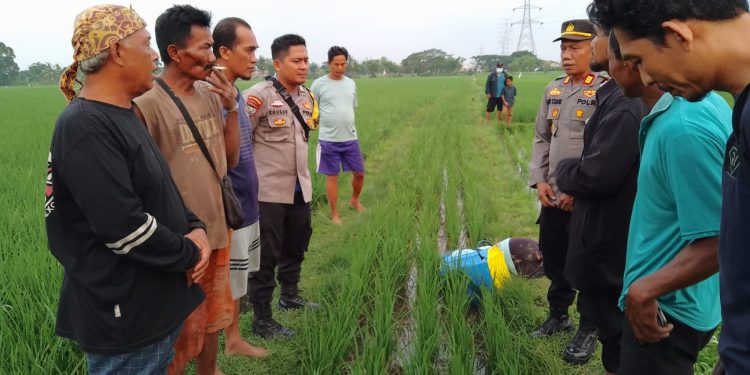Pamit Untuk Pergi Ke Sawah, Lelaki Paruh Baya Ditemukan Tewas Di Pematang Sawah