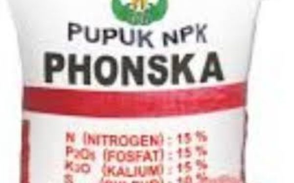 HARGA MEROKET: Petani Kab. Lebak Kesulitan Beli Pupuk Bersubsidi