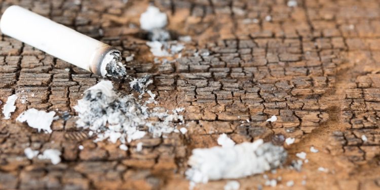 Hari Tanpa Tembakau Sedunia, Dinkes Kota Tangerang Ingatkan Bahaya Merokok