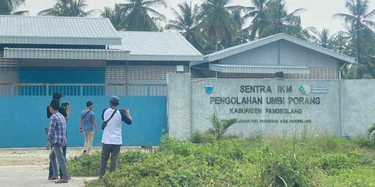 Pabrik Pengolahan Porang di Pandeglang Terbengkalai, Anggaran Miliaran Hambur