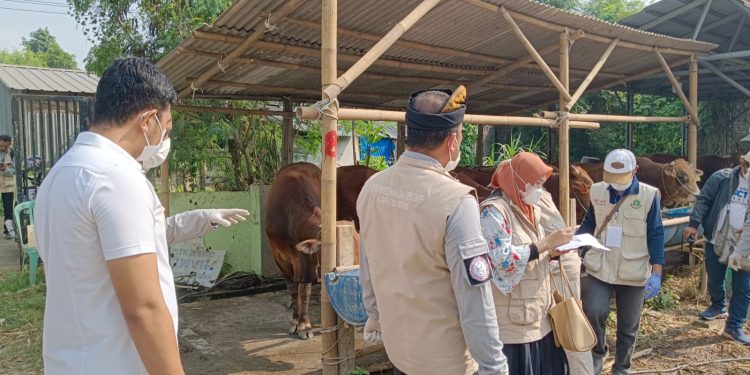 Tim Satgas Pangan dan Dinas Pertanian dan Peternakan Cek Kesehatan Hewan Kurban