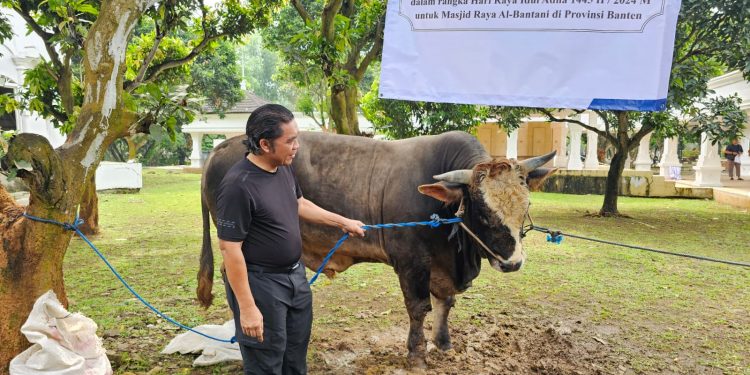 Cek Kesehatan Hewan Kurban, Pj Gubernur Banten Al Muktabar: Kesehatan Hewan Kurban Harus diutamakan