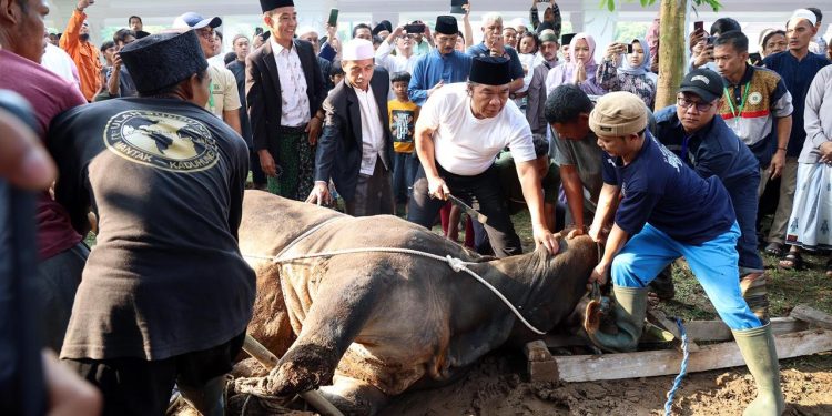 Laksanakan Salat Iduladha 1445 H dan Potong Hewan Kurban di Masjid Raya Al Bantani