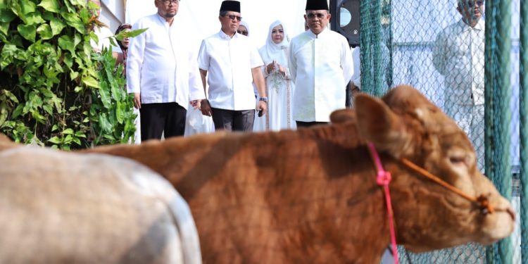 Sebagian dari Rezeki Kita Ada Hak Orang Lain yang Diwujudkan dengan Pembagian Daging Qurban