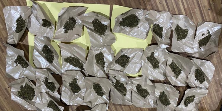 Lagi Nunggu Konsumen, Pengedar Ganja Diringkus Polisi