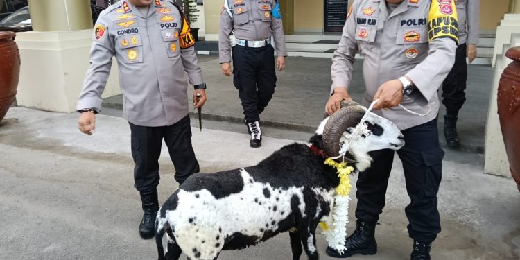 Kapolres Serang Beri Kambing Pada Anggota Purna Tugas