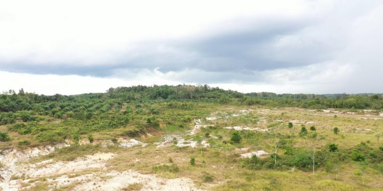 Isu Tanah Kosong Selama 2 Tahun Diambil Negara, Dirjen PPTR Sebut Kriteria Penetapan Objek Penertiban Tanah Telantar SHM Berbeda dengan SHGU dan SHGB