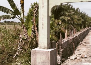 Pembangunan Pagar Tembok Kampus V UINSU, Diduga Langgar SOP Aktifis Sumut Angkat Bicara